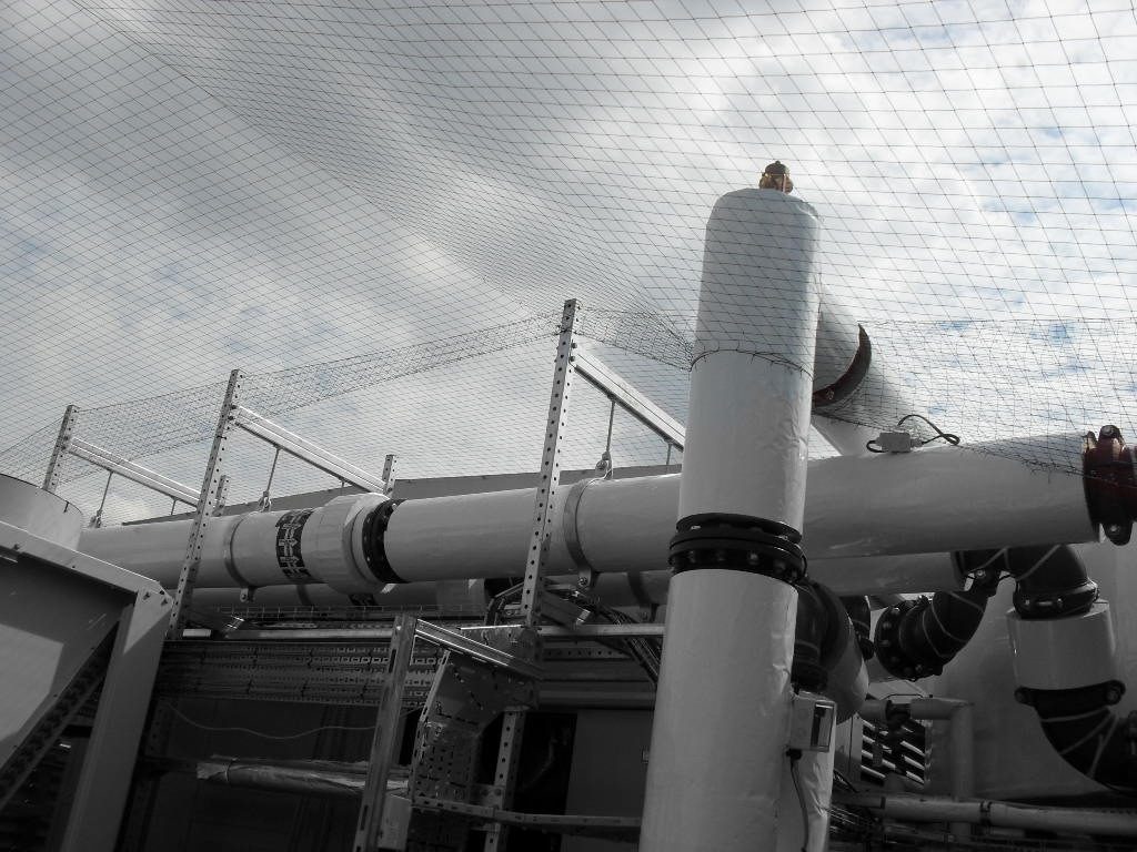 Bird Control in Hull, Yorkshire